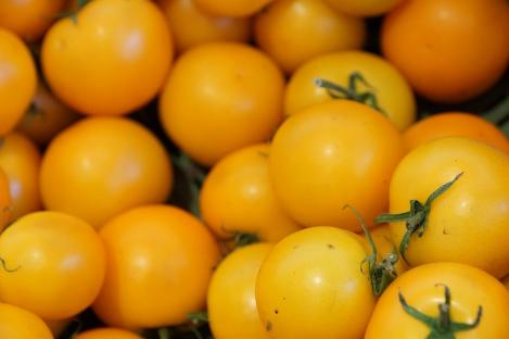 Packet - TOMATO - ILDI, regular seed - not treated and not gmo