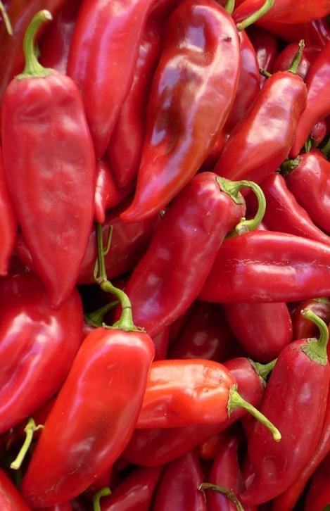Packet - Sweet pepper F1 - organic seeds