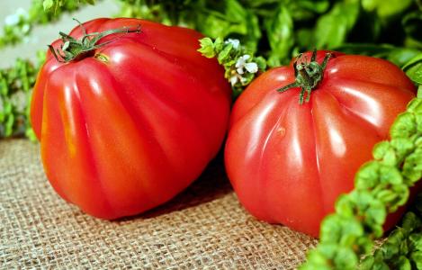 Packet - TOMATO - RED PEAR, regular seed - not treated and not gmo, heirloom