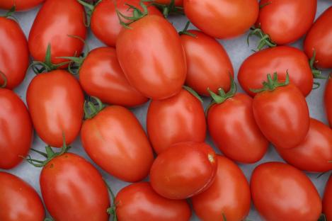 Packet - TOMATO - MALINOWY KAPTUREK, regular seed - not treated and not gmo, heirloom