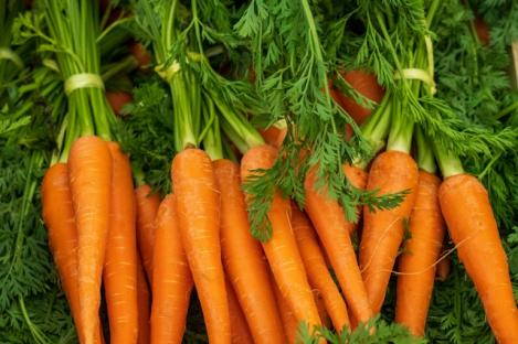 Packet - Carrot BERLIKUMER2, organic seed