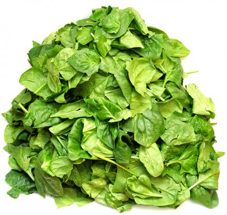 Packet - SPINACH - MATADOR, organic seeds