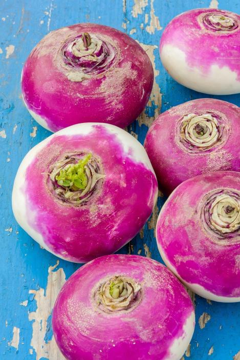 Packet - Turnip PURPLE TOP MILAN, regular seed - not treated and not gmo