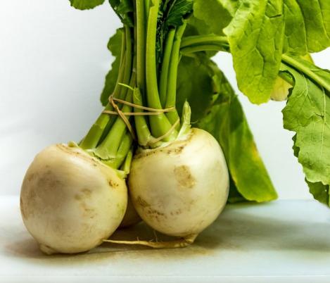 Packet - TURNIP - GOLDANA, organic seed, heirloom