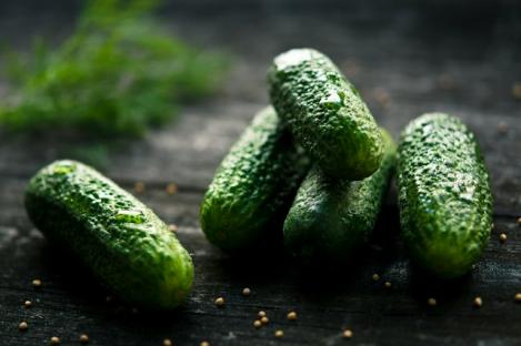 Packet - CUCUMBER - LIEFJE, organic seeds