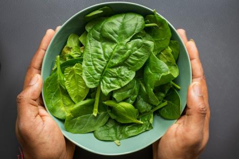 Packet - SPINACH - BUTTERFLAY, organic seeds