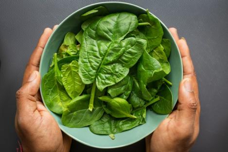 Packet - SPINACH - BUTTERFLAY, organic seed