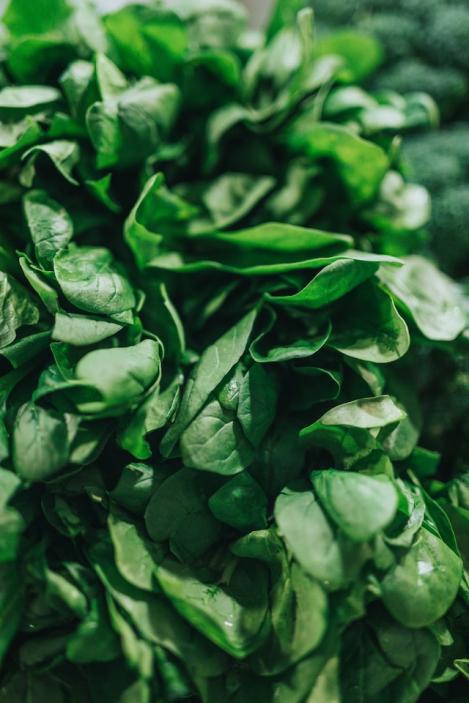 Packet - SPINACH - GAMMASON, organic seeds