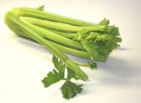 Packet - CELERY- NUGET , regular seed - not treated and not gmo