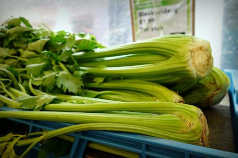 Packet - CELERY - TALL UTAH , organic seed, heirloom