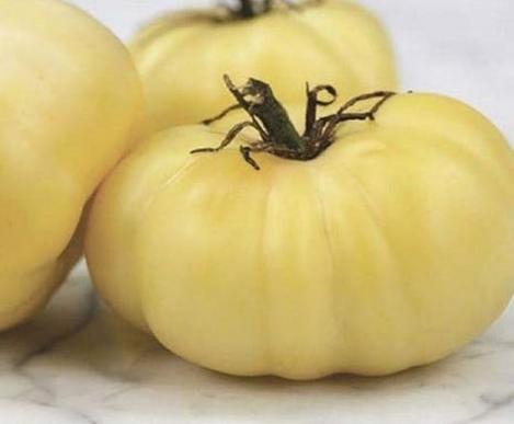White Sundae Giant Tomato Seeds - Rare Heirloom Variety, NON-GMO Organic From Ukraine