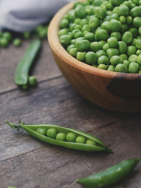 Packet - PEA - EERSTE VROEGE MEI / FIRST EARLY MAY, organic seeds