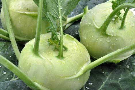 Packet - KOHLRABI- DELIKATESS WITTE, organic seed