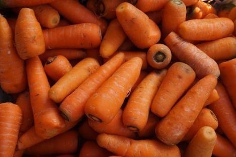 Packet - CARROT- CHANTENAY A COEUR ROUGE 2, organic seed, heirloom