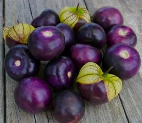 Packet - TOMATILLO PURPLE, organic seeds