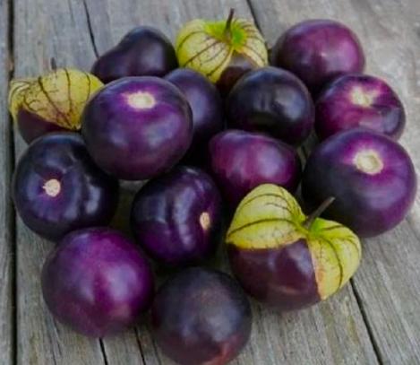 Packet - TOMATILLO PURPLE, organic seed