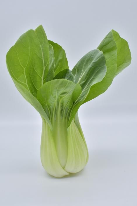 Packet - Pak Choi KARAOKE F1, regular seeds - not treated and non-gmo