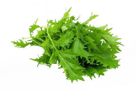 Packet - MUSTARD - MIZUNA, organic seeds