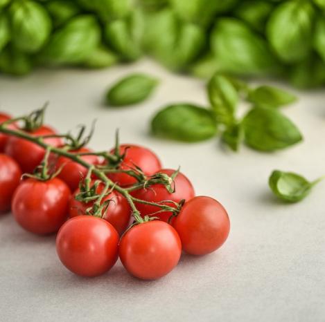 Packet - TOMATO - PHILAMINA, organic seeds