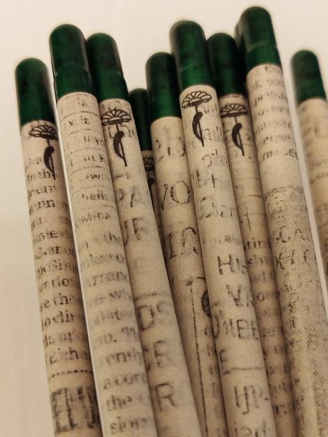 Packet - Seed pencil CALENDULA