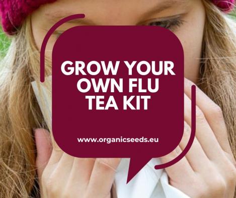 Packet - Grow Your Own Cold and Flu Tea Starter Pack, organic seeds
