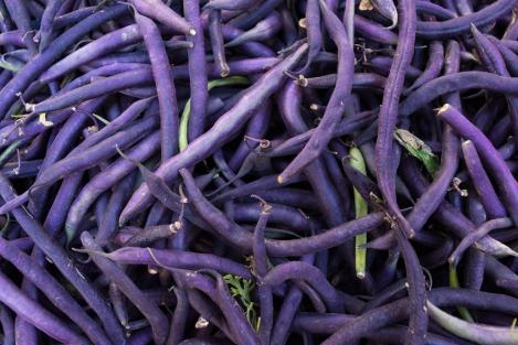 Packet - RUNNER BEAN - BRUNHILDE, organic seeds, heirloom