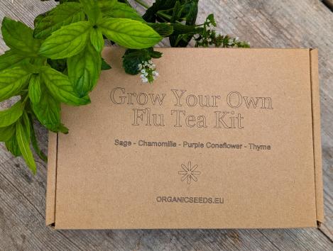 Packet - Grow Your Own Cold and Flu Tea Starter Pack, organic seeds