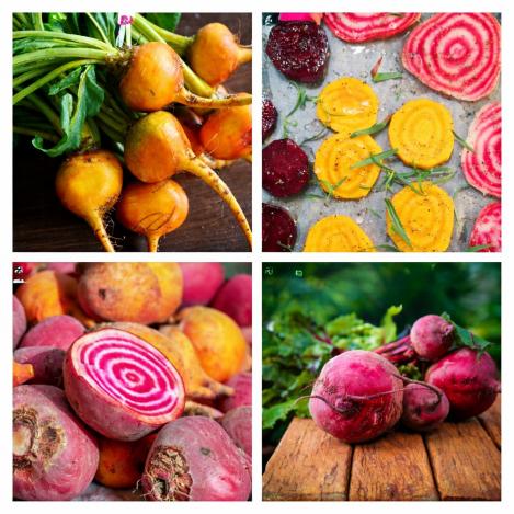 Packet - Colored Beetroot Mix , organic seeds