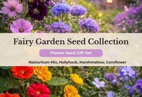 Packet - Fairy Garden Seed Collection , organic seeds