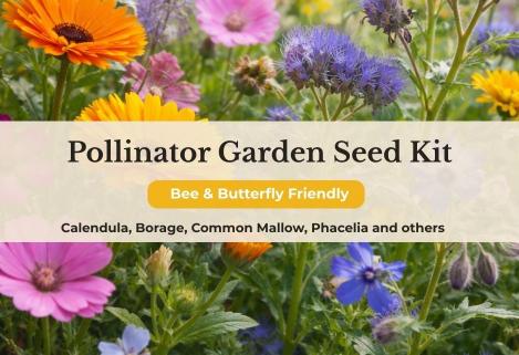 Packet - Pollinator Garden Seed Kit (Bee & Butterfly Friendly), organic seeds
