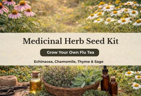 Packet - Organic Medicinal Herb Seed Kit– Echinacea, Chamomile, Thyme & Sage, organic seeds