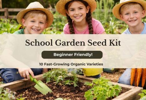 Packet - School Garden Seed Kit – 10 Fast-Growing Organic Varieties for Learning and Fun
