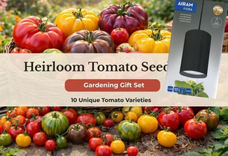 Packet - , regular seeds - not treated and non-gmo