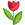 Flower planting and care - Organicseeds.eu Gardening Calendar