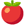 Best time for fruit plants - Organicseeds.eu Biodynamic Calendar
